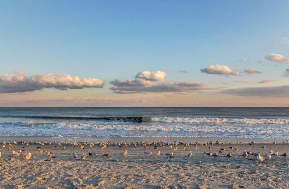 *Fresh Myrtle Beach Reno*Relax*Pools*Beach*More*T401 Eksteriør bilde
